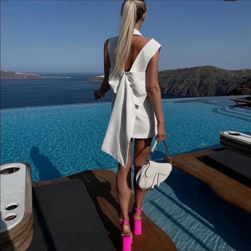 NWT Zara Limited Edition Bow Sleeveless Dress - Picture 11 of 16